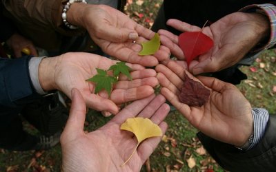 Quatre capsules vidéo sur la gestion de la diversité culturelle dans les organismes